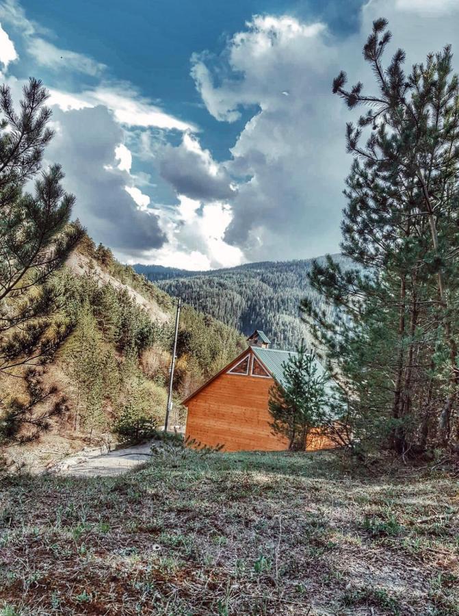 Cozy Cottage Feel Free Continental Didi Ateni Екстер'єр фото