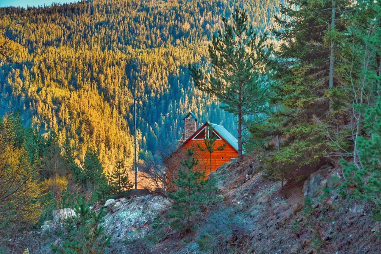 Cozy Cottage Feel Free Continental Didi Ateni Екстер'єр фото