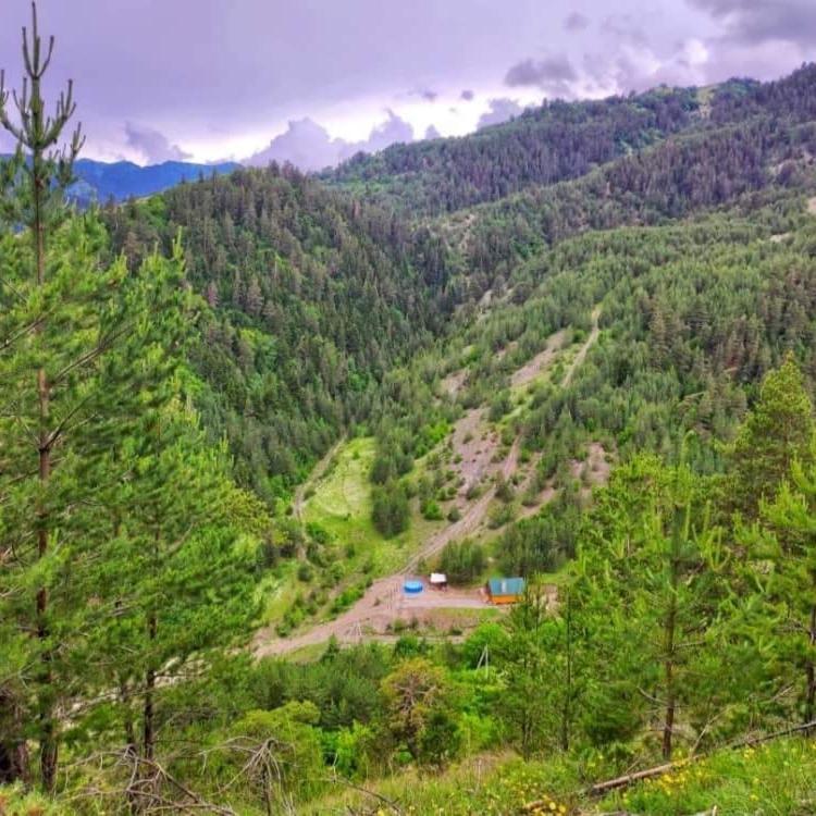 Cozy Cottage Feel Free Continental Didi Ateni Екстер'єр фото