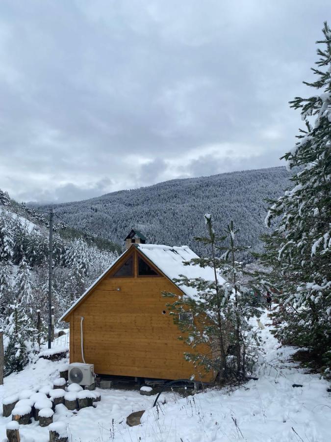 Cozy Cottage Feel Free Continental Didi Ateni Екстер'єр фото