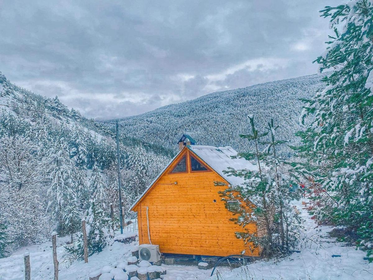 Cozy Cottage Feel Free Continental Didi Ateni Екстер'єр фото