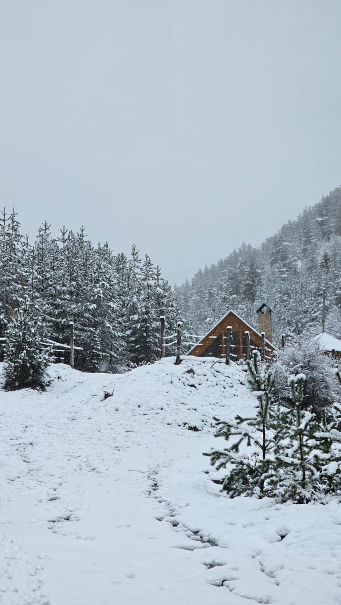 Cozy Cottage Feel Free Continental Didi Ateni Екстер'єр фото
